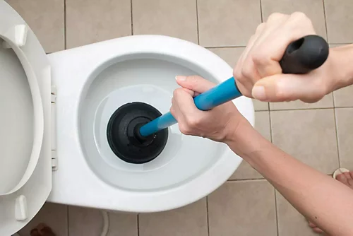 experts-share-their-best-fixes-for-a-clogged-toilet